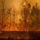 Image for article titled Photos: The “wall of fire” that destroyed Paradise, California